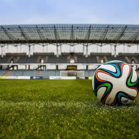 Apostas Suíça x Camarões | Copa 2022 Grupo G